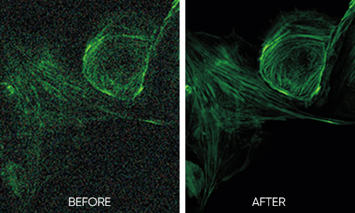 先進(jìn)制冷降噪技術(shù)
