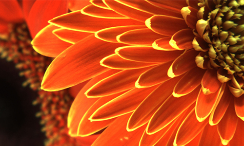 真實色彩還原算法