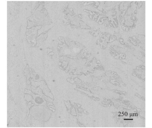 基于主動對焦的大視場推掃成像
