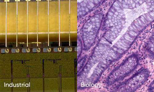 專業(yè)色彩算法