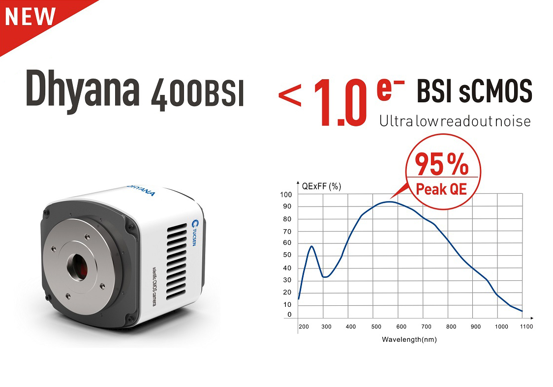 鑫圖發布新一代超高信噪比sCMOS科學相機，Dhyana 400BSI!